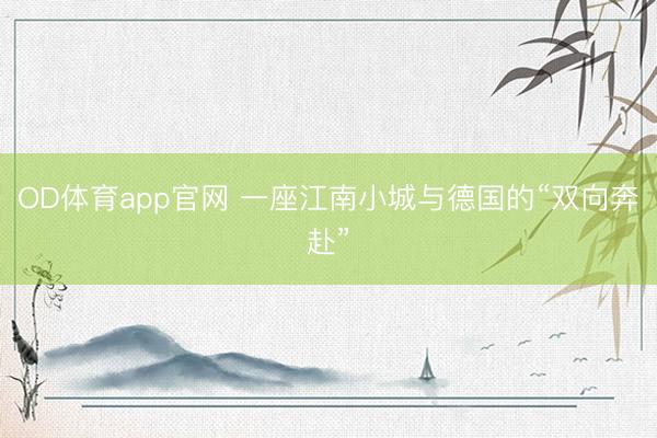 OD体育app官网 一座江南小城与德国的“双向奔赴”