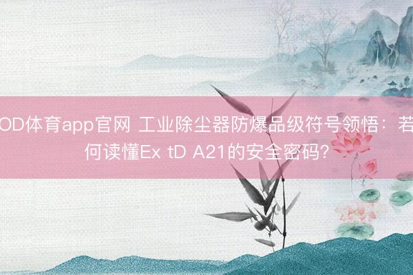 OD体育app官网 工业除尘器防爆品级符号领悟：若何读懂Ex tD A21的安全密码？